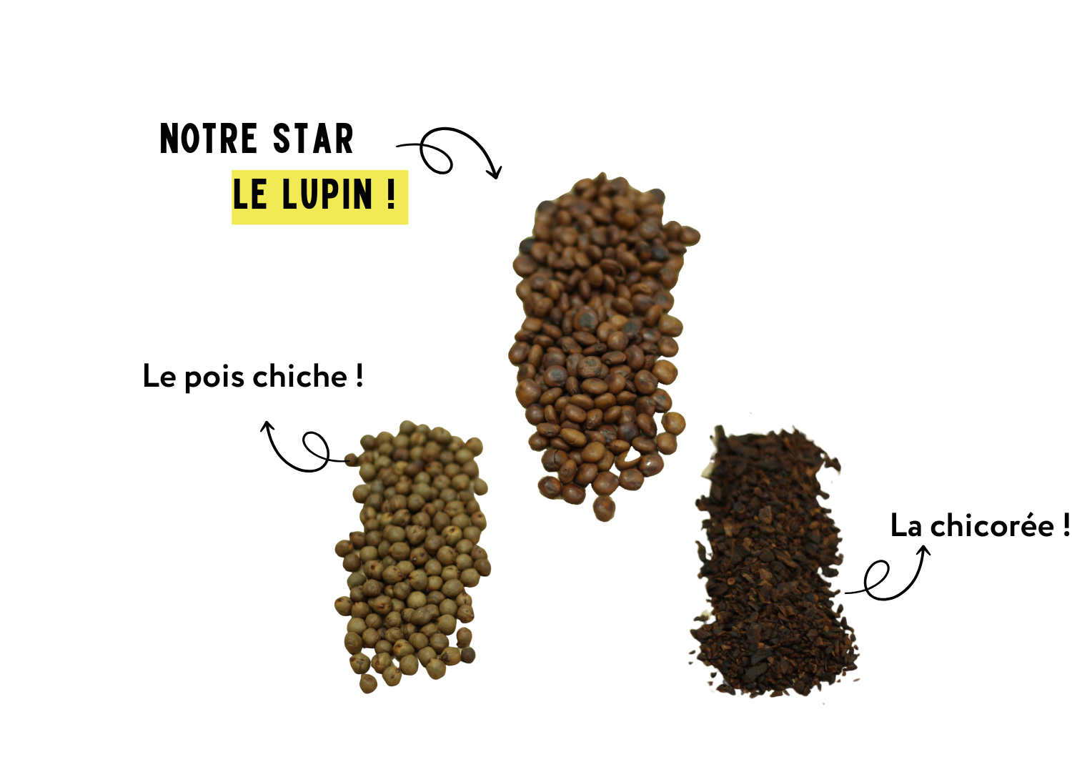 matière première 100% française : lupin, pois chiche, chicorée
