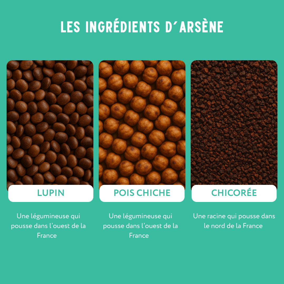 Arsène sans caféine - Alternative au café