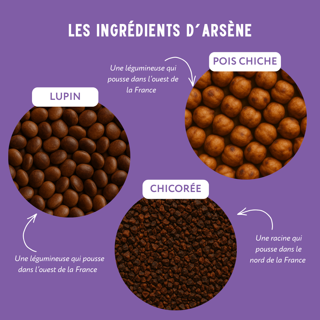 Arsène Tonique – Alternative au café avec caféine douce