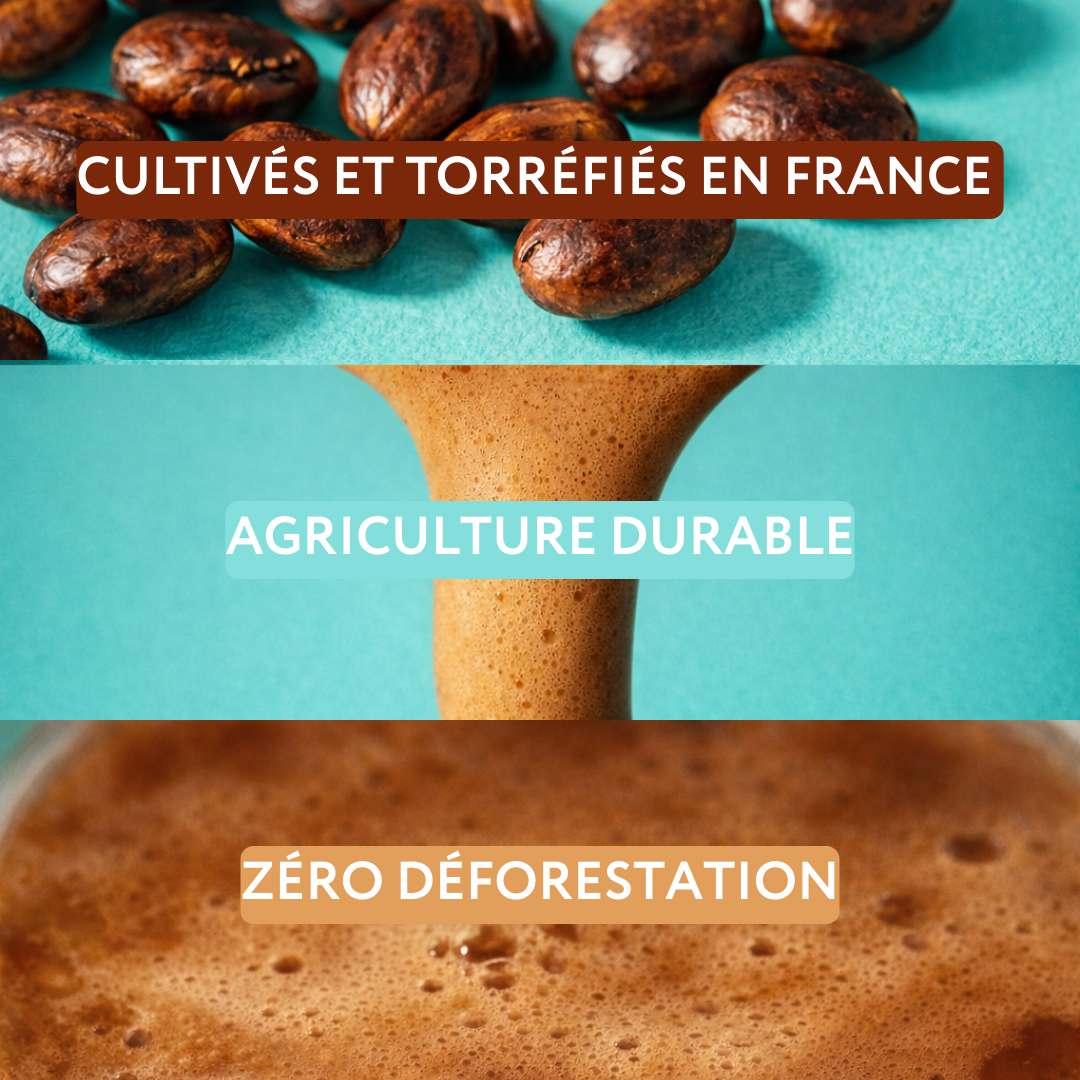 Arsène noisette - sans caféine